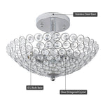 12" 2-Light Elegant Ceiling Light