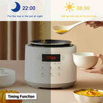 Timing Design of 600W Electric Non-Stick Pressure Cooker