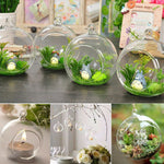 Crystal Glass Display of Hanging Candle Holder Terrarium, 3/6 Pcs